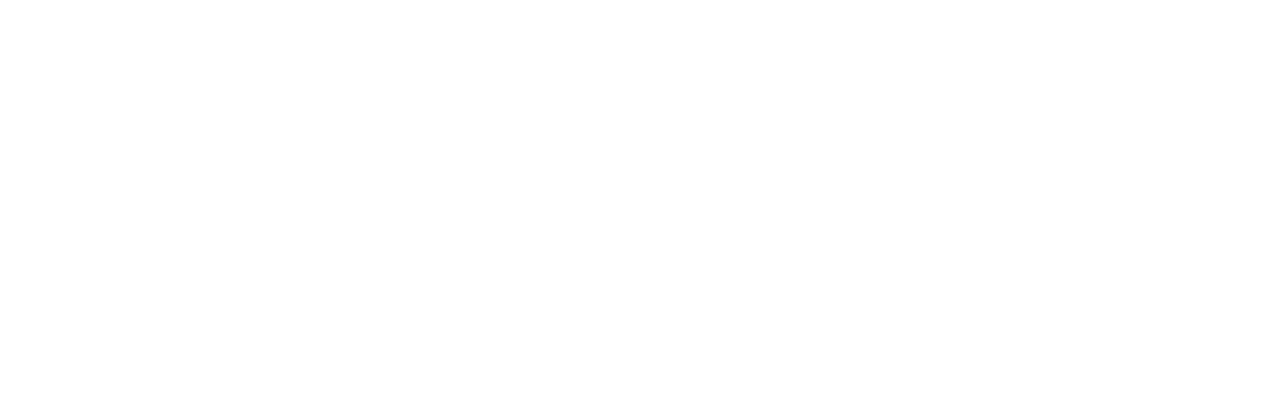 Waverley Cutting Tools Logo white